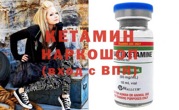 шишки Алексин